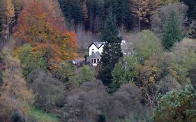 The Cottage in The Wood Cumbria